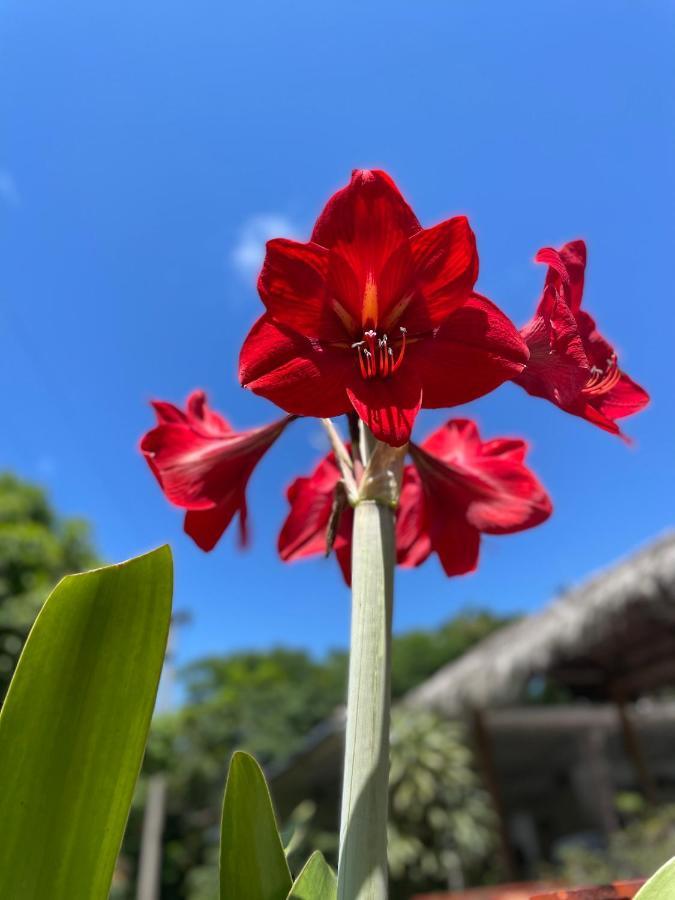Hotel Hacienda El Diamante 비예타 외부 사진